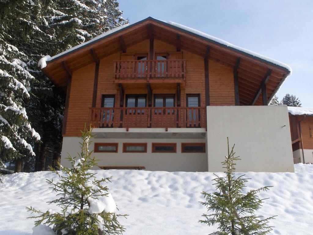 Magnificent Chalet On The Mountain Slopes Les Gets Exterior foto