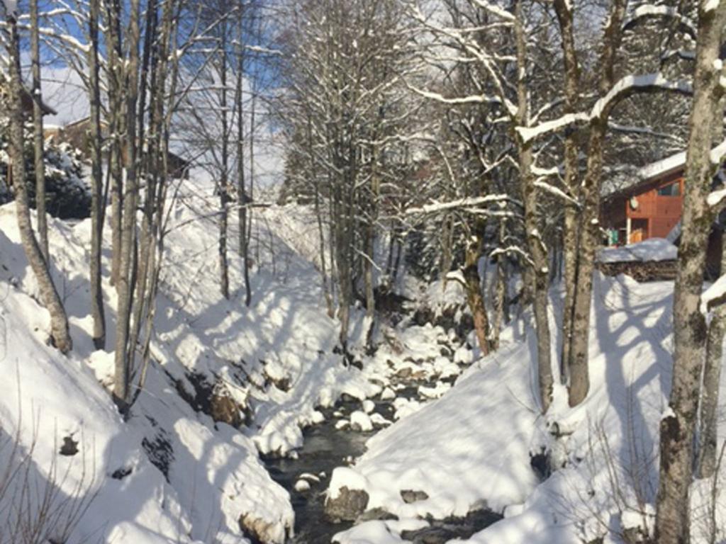 Magnificent Chalet On The Mountain Slopes Les Gets Exterior foto