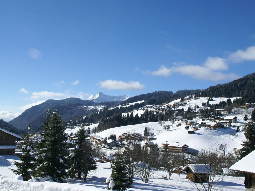 Magnificent Chalet On The Mountain Slopes Les Gets Exterior foto