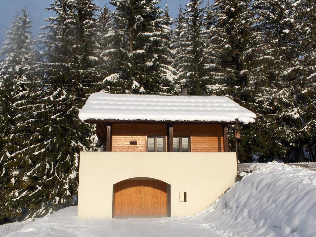 Magnificent Chalet On The Mountain Slopes Les Gets Exterior foto